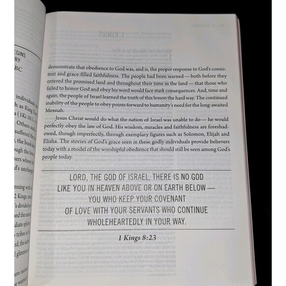 The Jesus Bible NIV Edition Zondervan Bibles Leathersoft over Board, Pink - Picture 5 of 11